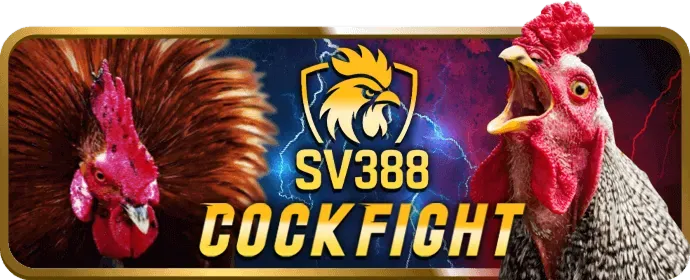 Lý do chọn ab77 win